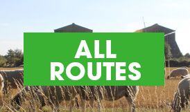 All routes button