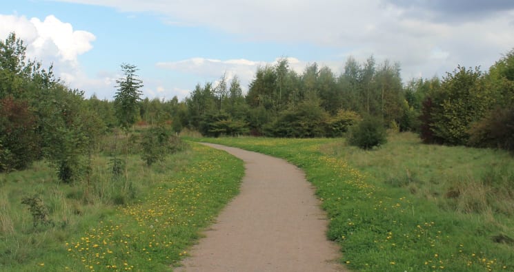 Pathway through trees and grassland at Button